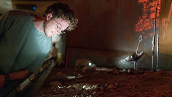 Utrecht: Tour de descubrimiento DOMunder