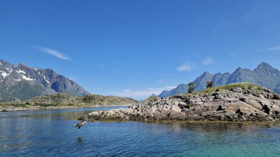 挪威卑爾根-沃斯-弗洛姆小鎮一日遊【中文專車-悅享旅程】