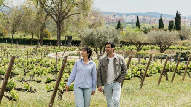 Torres Winery: Guided Tour + Wine & Tapas Pairing