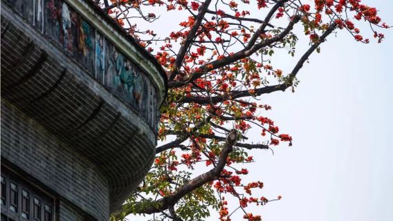 Guangzhou Shawan Ancient Town + Gull Island + Lotus Mountain Day Tour