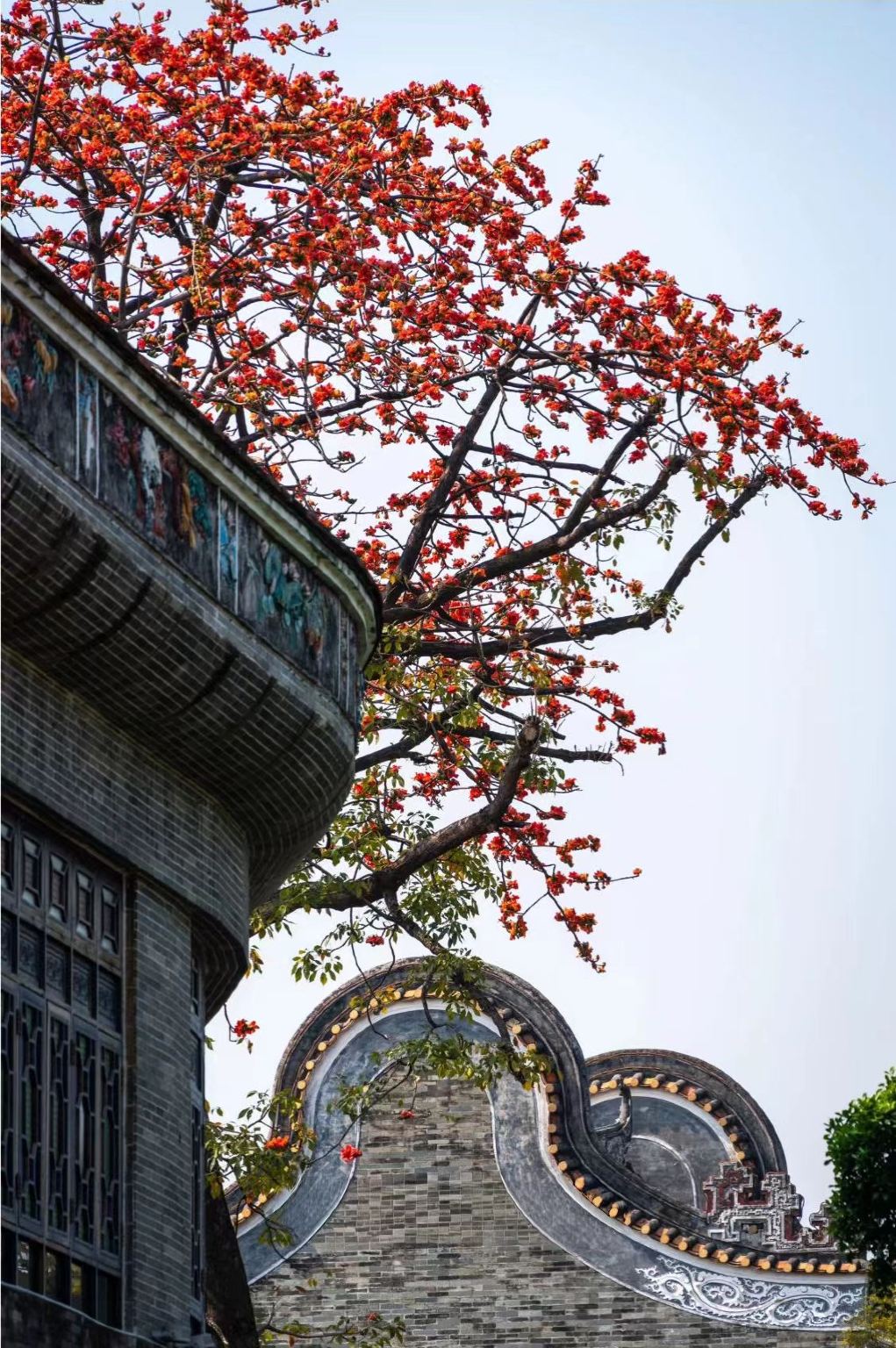 Explore Shawan Ancient Town in Guangzhou + Watch the sunset over the sea at Gull Island + Experience cultural relics at Lotus Mountain