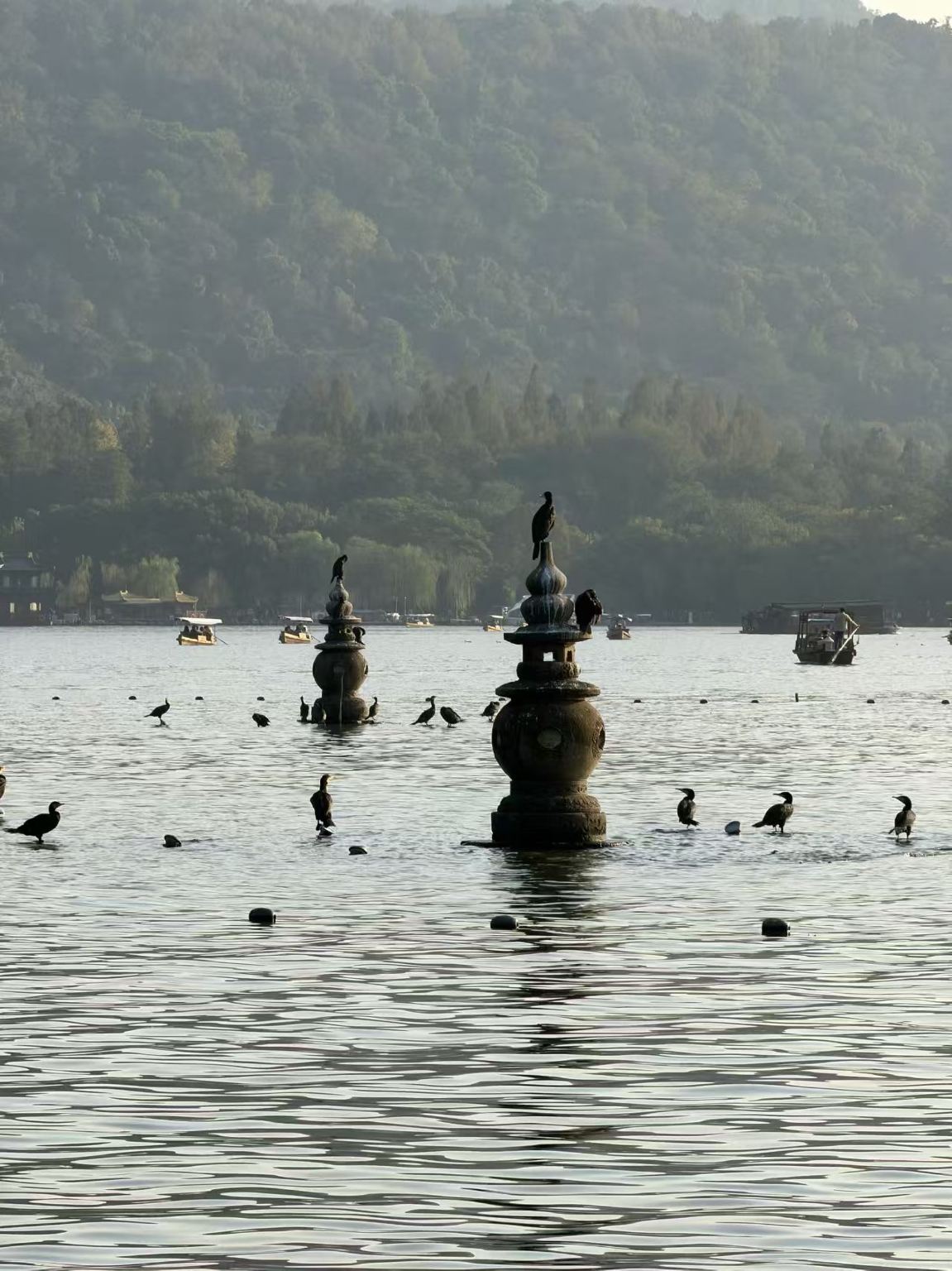 Hangzhou offre guide in inglese, spagnolo, russo, tedesco, francese, italiano, giapponese e altre lingue disponibili su richiesta [Pianificazione personalizzata con Trip.com]