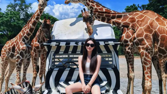 Oferta especial para grupo privado - Excursión de un día al Safari de Kanchanaburi + Puente del Río Kwai + Ferrocarril de la Muerte | Vehículo privado