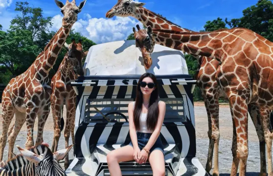 特惠-北碧府野生動物園+桂河大橋+死亡鐵路一日遊|專車|純玩