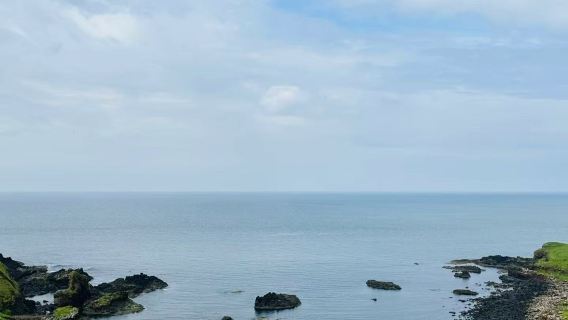 愛爾蘭都柏林來回莫赫懸崖-威克洛山脈【可訂製全境包車】