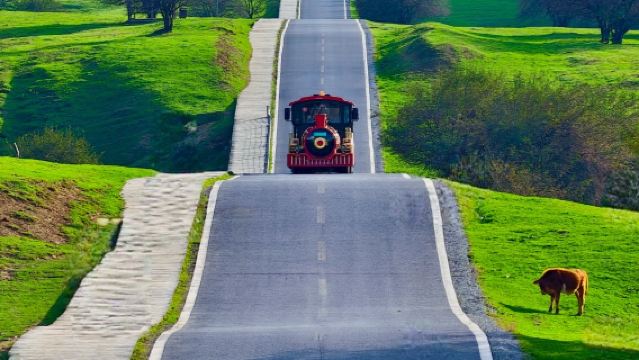 【純玩2-8人小團】武隆天生三橋+仙女山森林公園+烏江一日遊