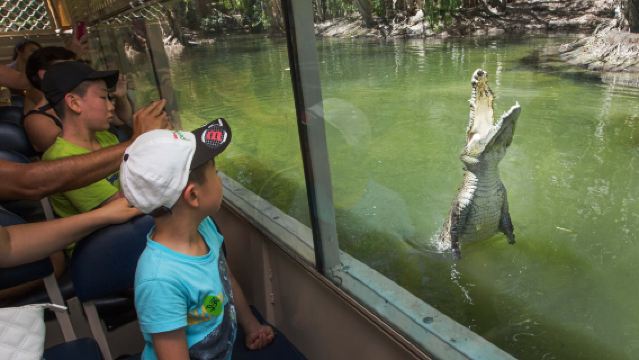 Australia Kuranda + Cable Car + Train + Hartley's Crocodile Adventures Tour [Including Hotel Transfer]