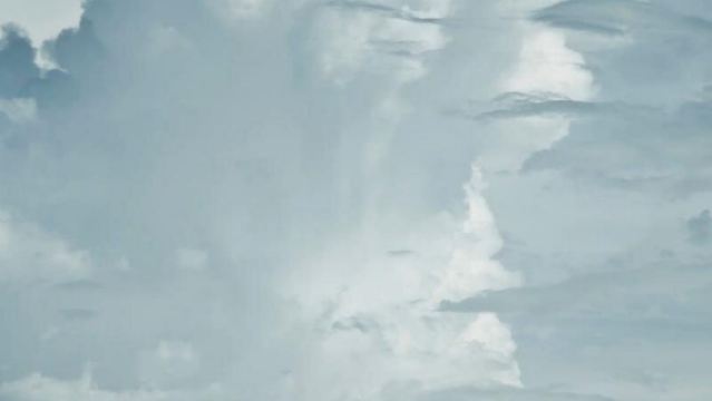 美國+芝加哥唐人街+華麗一英里一日遊/行程可調-可定制