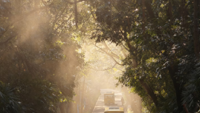 Lawatan Sehari Zhaoqing Taman Qixingyan + Tembok Kota Lama + Gunung Dinghu [Lawatan Sewa Peribadi, Pemandu Pelancong]