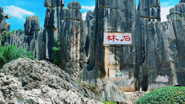 Private chartered tour from Kunming to Shilin round-trip | Dedicated driver | No rideshare | Door-to-door pickup