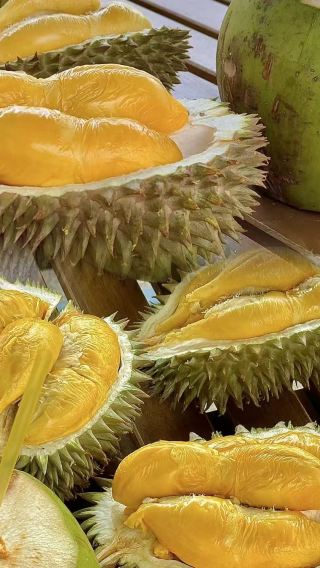 ทัวร์ครึ่งวันสวนทุเรียนหลังเขาฟลอริส ปีนัง [คนขับรถ/ไกด์นำเที่ยว + ล่าม]