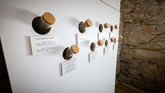 Le Petit Musée du Vin: Visit and food tasting in Lyon