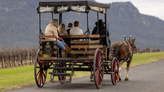 Pokolbin: Harvest the Hunter 3-Hour Horse-Drawn Carriage Tour