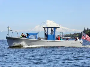  2 Hour Guided Boat Tour in Gig Harbor and Narrows Bridges