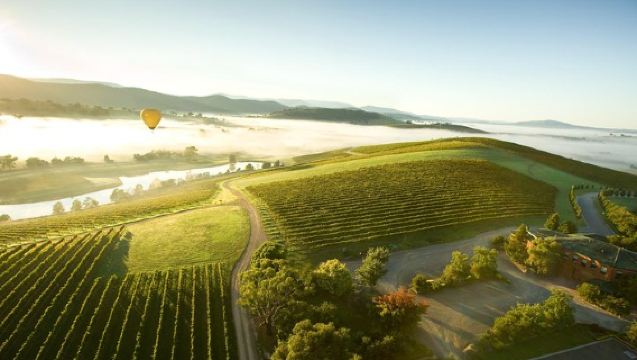 Excursión de un día por los viñedos del Valle de Yarra