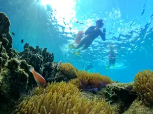OnBird- Private snorkeling trip in Phu Quoc by speedboat: explore Coral Mountain & Half-moon Reef