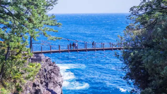 日本東京伊豆一日遊【純玩9人小團|贈觀海列車票|上門接送可選|中文司導|城崎海岸+門脅吊橋+觀海列車+大室山or仙人掌動物園】