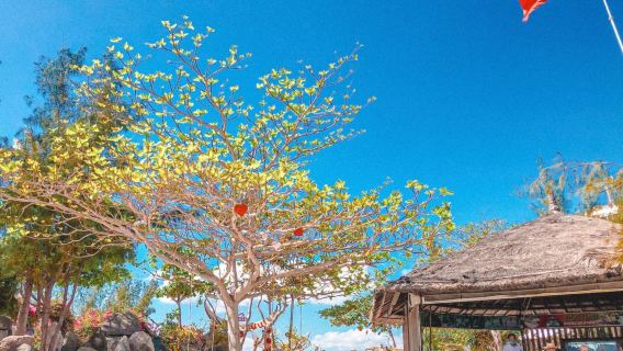 Discover Nha Phu Bay: Full-Day Exploration of Orchid and Monkey Islands