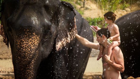 Koh Samui Jungle Elephant Sanctuary Half Day Tour