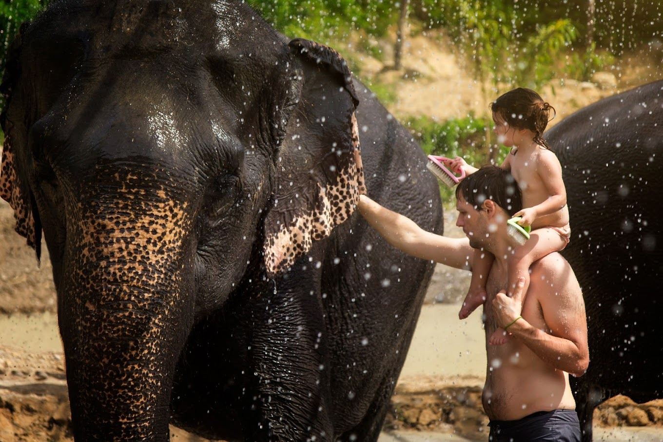 Koh Samui Jungle Elephant Sanctuary Half Day Tour