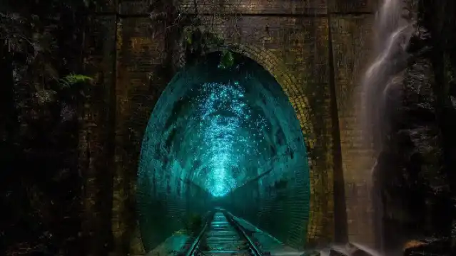 澳洲悉尼螢火蟲隧道一日遊【藍光螢火蟲洞華人包車】