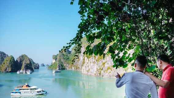 HanoiTravel Services