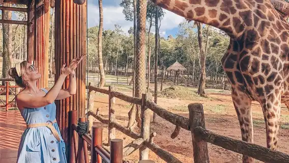富國島珍珠野生動物園+海星沙灘一日遊【私人導覽】