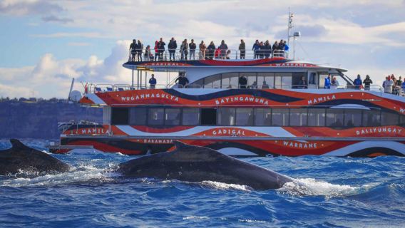SydneyTours
