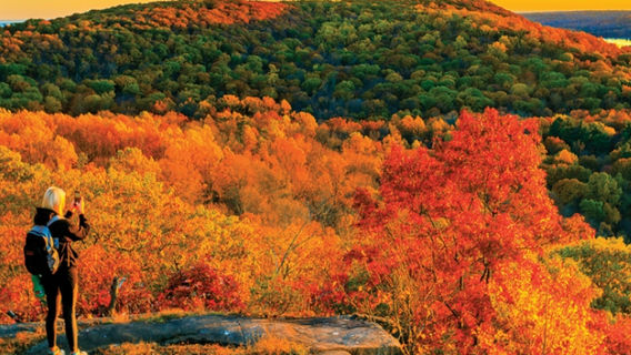 Hamden