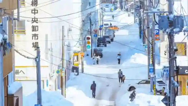 日本札幌-小樽八音盒朝裏等/可登別富良野北海道多日包車-精選
