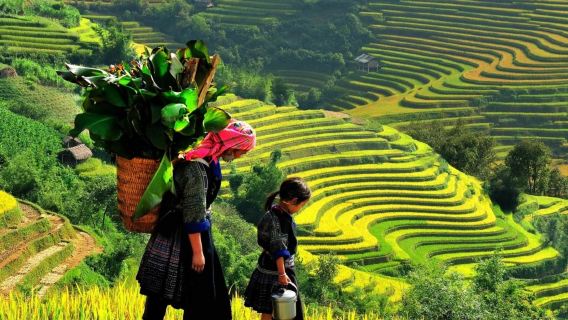 Sapa Trekking: Rice Terraces & Ethnic Villages 3-Day Tour From Hanoi