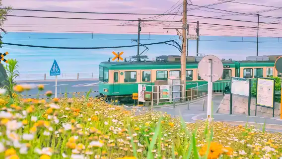 日本横浜+鎌倉ワンデーツアー|江ノ電レトロ電車+港のロマンチックな夜景