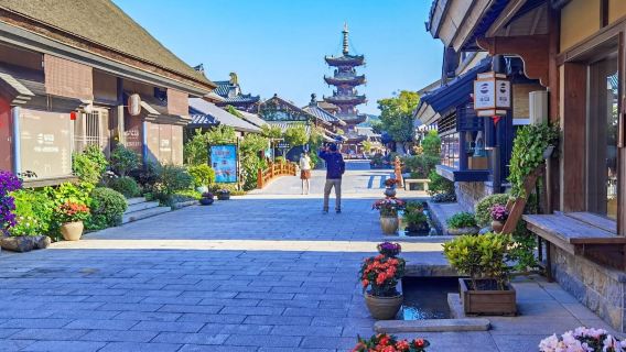 無錫:霊山小鎮拈花湾+梅園+南長街|貸切チャーター日帰りツアー【中英露仏独西】#