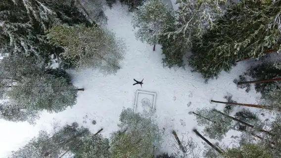 Winter wonderland hike