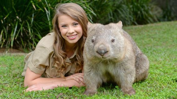 Australia Zoo: Entrance + Transfer from Brisbane