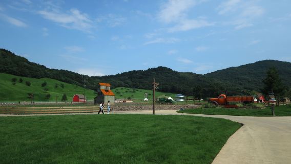 Shenyang Forest + Cloud Prairie + Sky Ranch + Hobbit Cottage + Family Fun Park + Leisure Tour