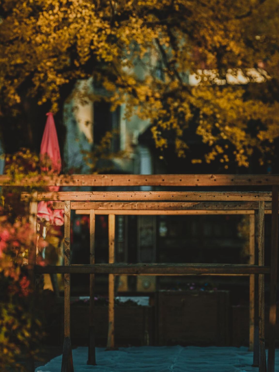 Huzhou - Badu Valley Attraction + Liuba Ancient Trail | Private Charter | Multilingual Guide