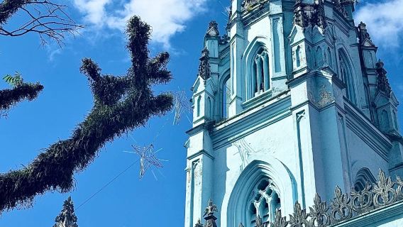 東興口岸+越南Citywalk一日遊【越式小鎮實現水果自由】