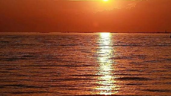 カンボジア・シェムリアップ トンレ・サップ湖日帰りツアー【トンレ・サップ湖乗船チケット付き】-trip