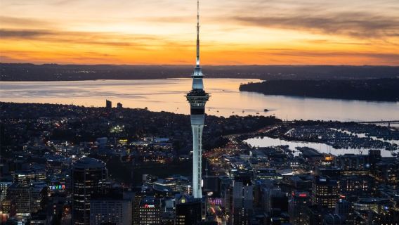 New Zealand Auckland Domain + Princes Wharf + Sky Tower + Queen Street | VIP City Private Car