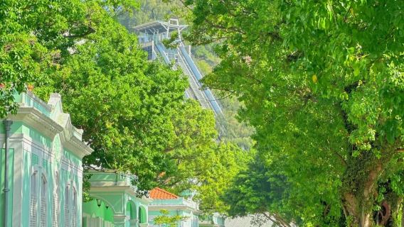 澳門黑沙海灘+十月初五街+漁人碼頭【7小時包車，可自訂行程】