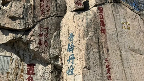 Eendaagse tour vanaf Jinan naar Taishan natuurgebied, Jade Keizer Top en Dai Tempel met Chinees-Engelse service