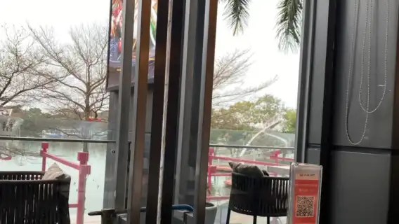 Xunwei Shunde Cuisine (Happy Coast Shopping Center)/Delicious food