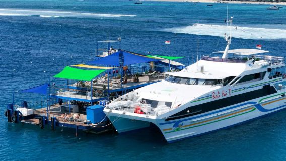 Lembongan Island Reef Cruise