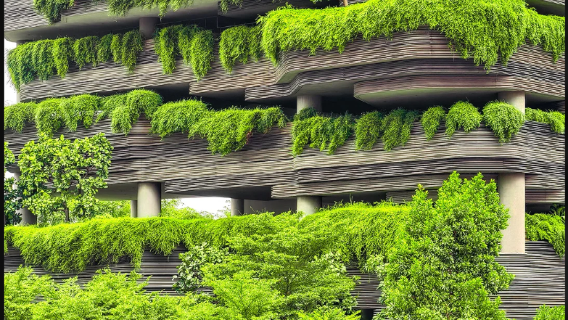 新加坡海洋生態館+景觀摩天輪【中文專車-行程可定制】