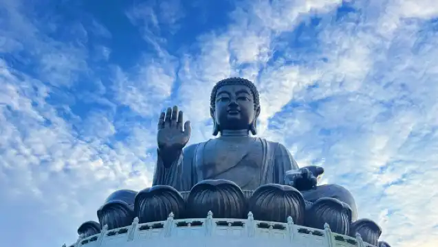 [마카오에서 홍콩 전세 차량 맞춤 여행] 홍콩 란터우 섬+침사췌+빅토리아 하버 당일 치기 여행