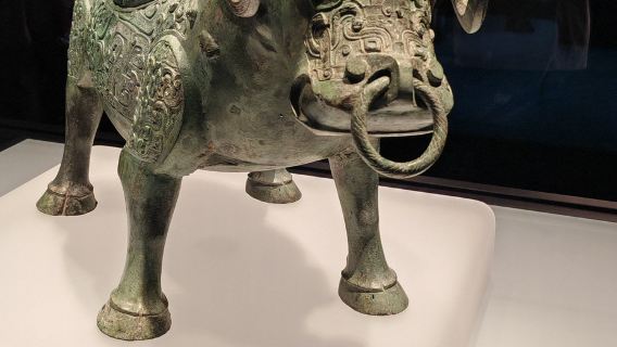 Shanghai Natural History Museum + Shanghai Museum East Hall 1- day tour Life Epic + Civilization Folding