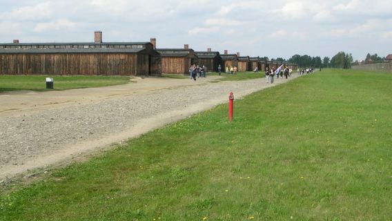 Auschwitz-Birkenau: Memorial Entry Ticket and Guided Tour