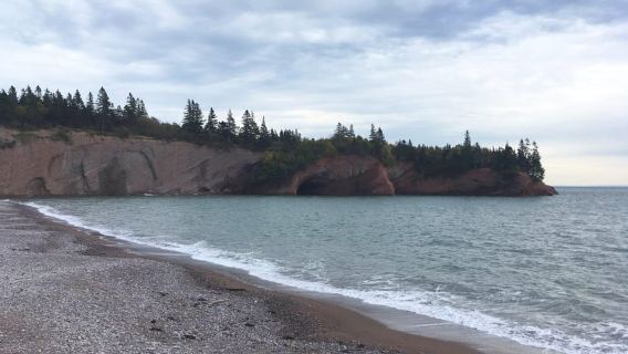 Desde Saint John: Viaje en autobús a la Bahía de Fundy para pasajeros de cruceros