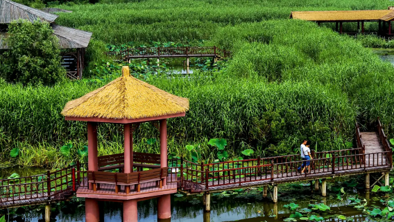 Taizhou servicio de coche privado con conductor, guía local, traducción, acompañamiento, traslados, turismo, ferias, inspección comercial, acompañamiento médico